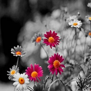 Meet your Posher, Sandy b